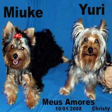 Yuri e Miuke