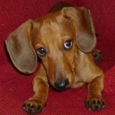 Oliver