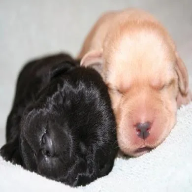 jou e nina