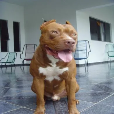 Luthor
