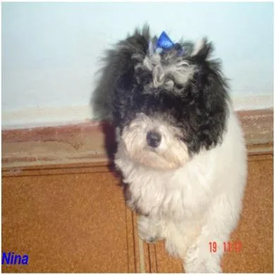 Nina