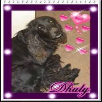 Dhuly
