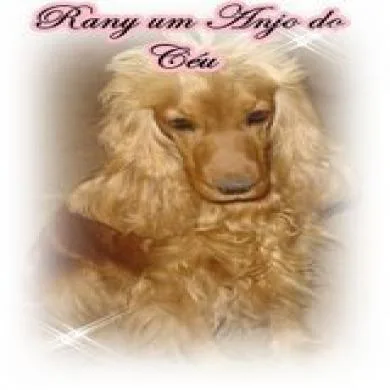 Rany