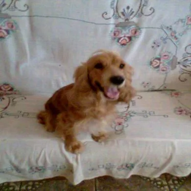 princesa