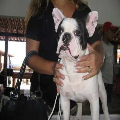 Bernard Supercão de Salvador