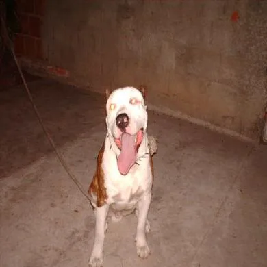 Spike