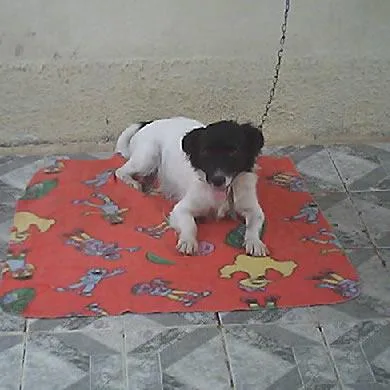 luma