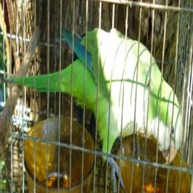 Rita