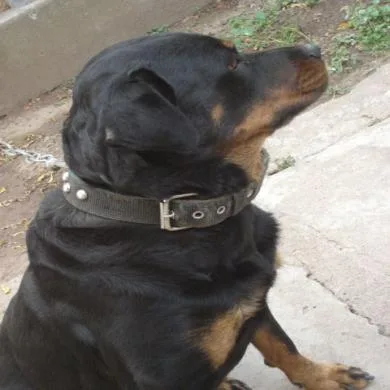 Princesa