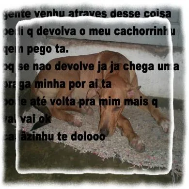 cauã marcelo bonini