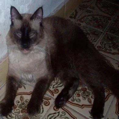 bernardo