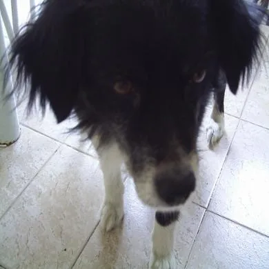 Millu