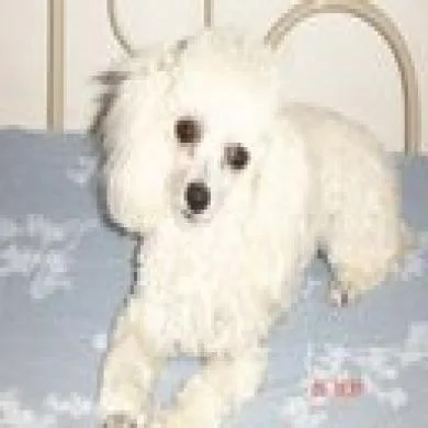 brietha