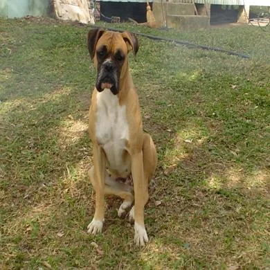 MADONA