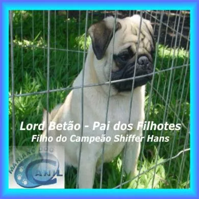 Lord Betão