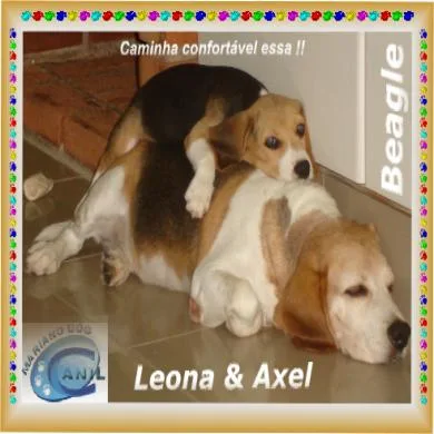 Axel e Leona
