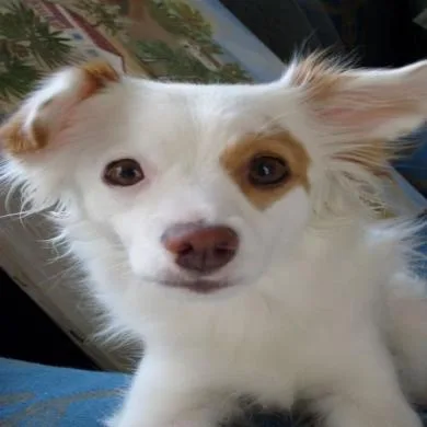 nala