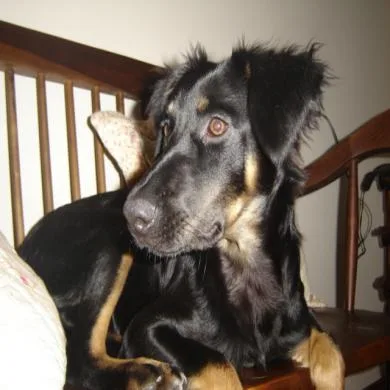 Capitu
