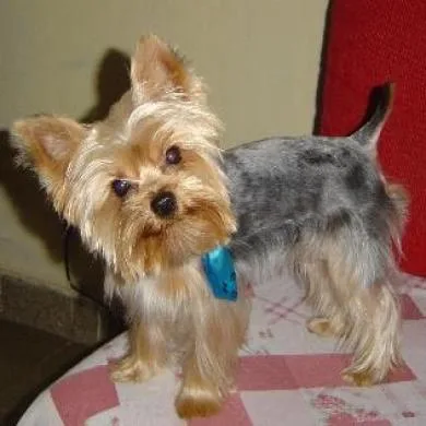 Thomas
