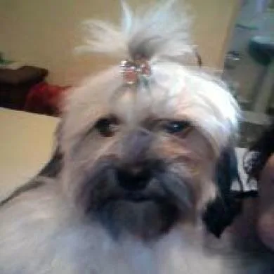 Bellinha