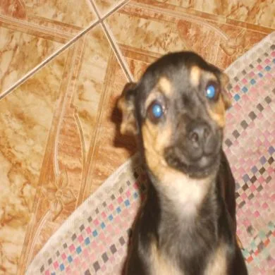 mel monalisa maciel se oliveira  