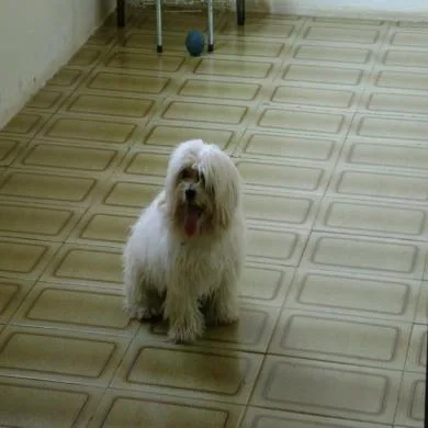 Billy