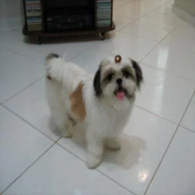 Fanny Belle Pazinne