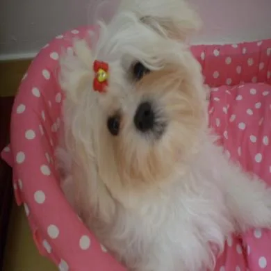 LILIKA