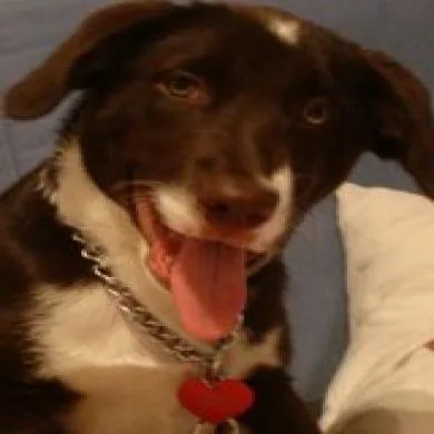 Fiona