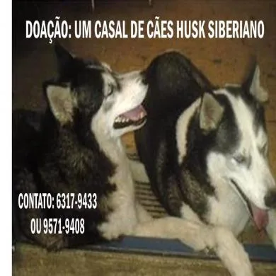 Sabrina e Max
