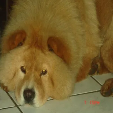 rubi