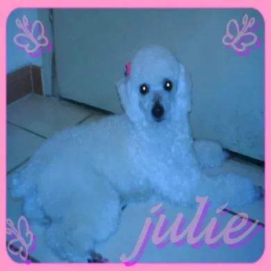 Julie