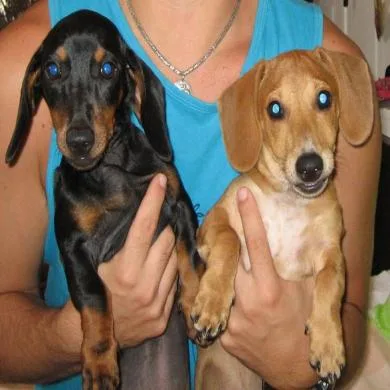 Cindy e Mel