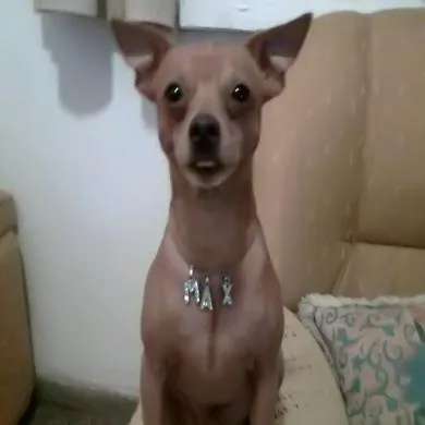 Max