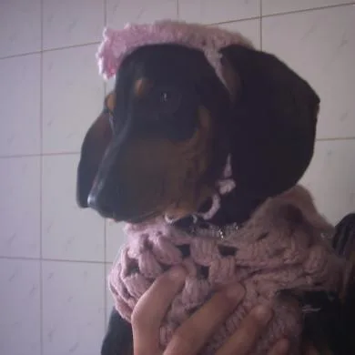 Tuti