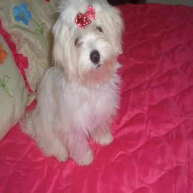 Lady baby do fofo