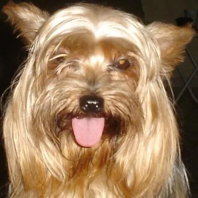 princesa