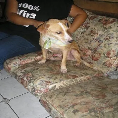 Théo