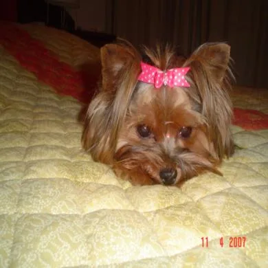 Nina