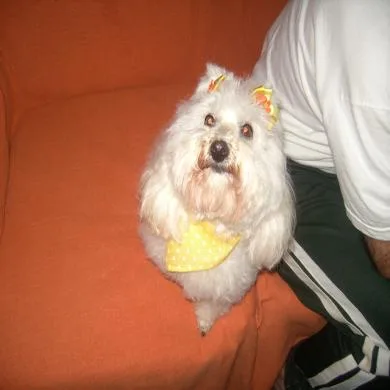 Milla