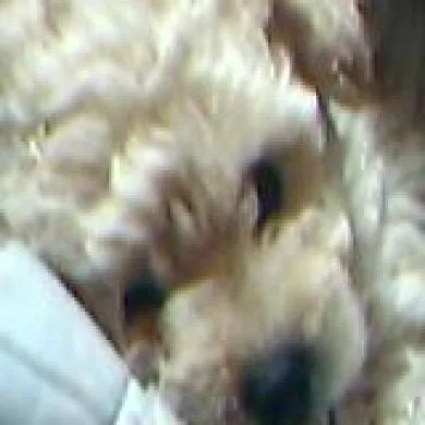 Tobby