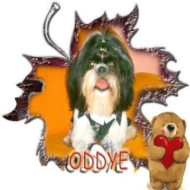 oddye