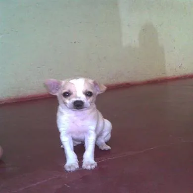 BoBy