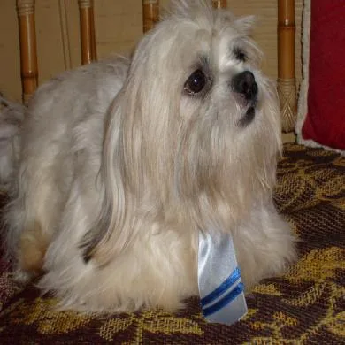 Teodoro