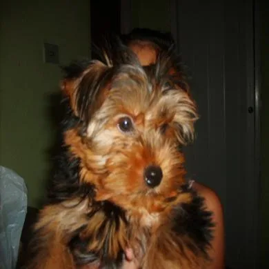 Eduardo