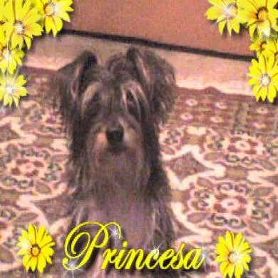 Princesa
