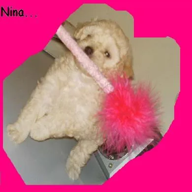 Nina