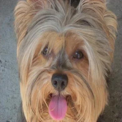 Sam