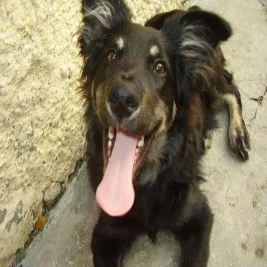 ZEZO
