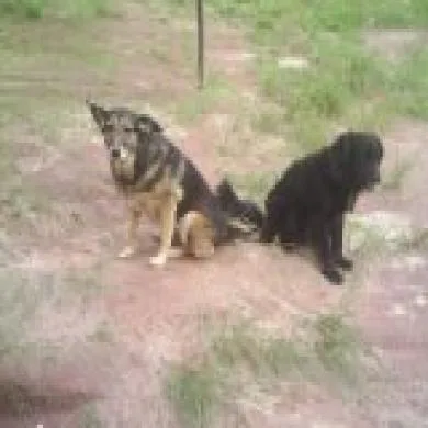 Didunha e Billy